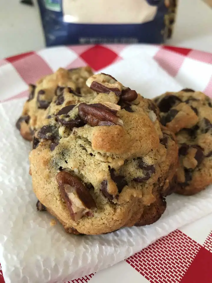 Protein Flour Chocolate Chip Cookies