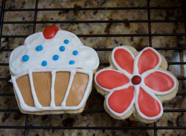 Cookies on a stick without their sticks! These are iced with a royal frosting.