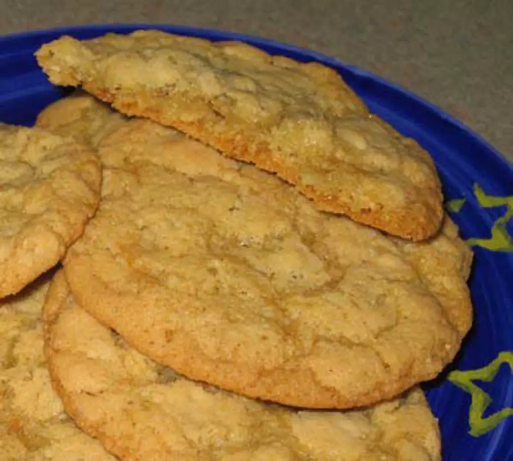 Oatmeal-Raisin Crinkle Cookies