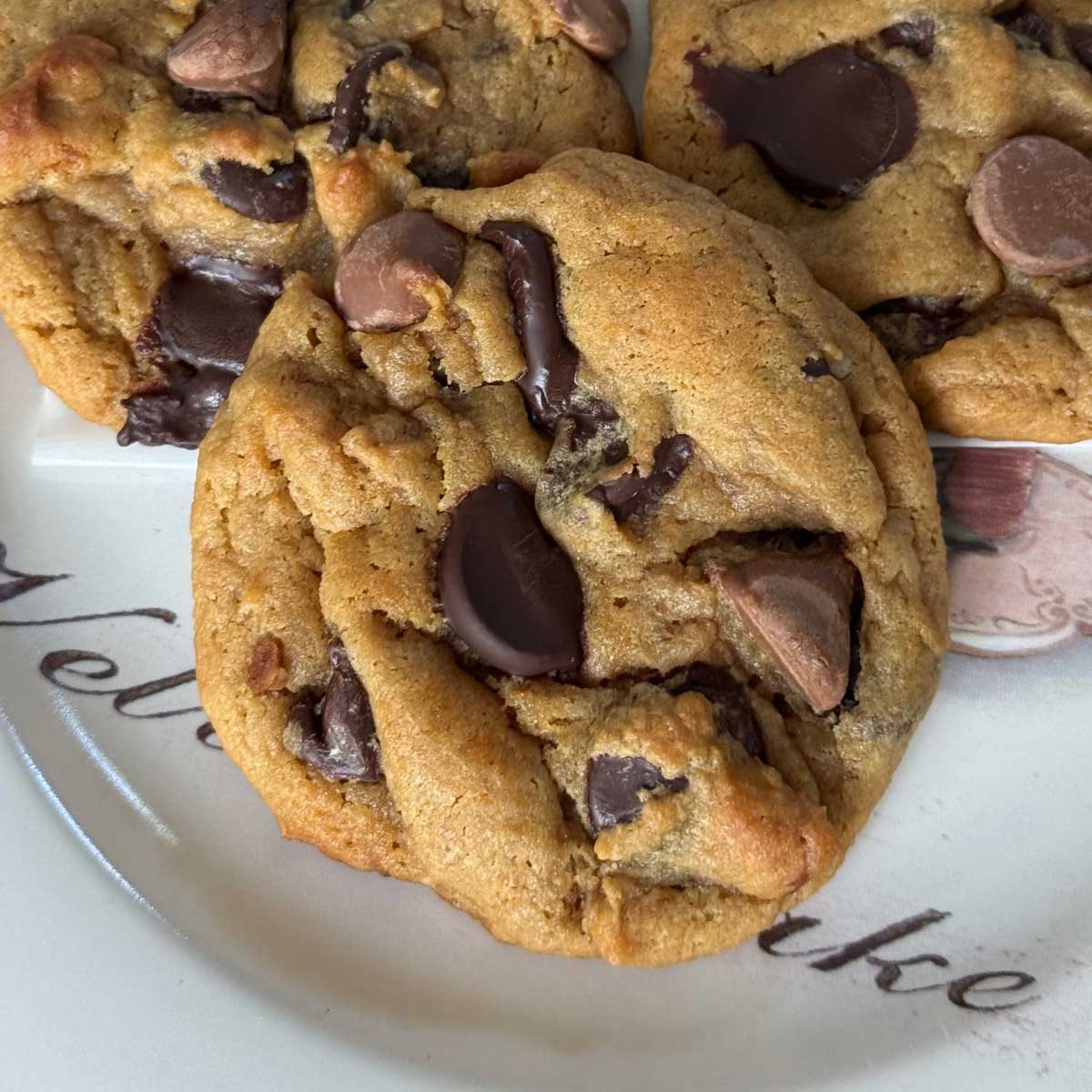 Chocolate chip cookies made with date syrup or date paste.