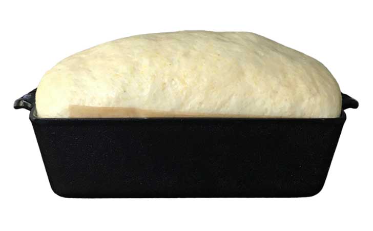 Dr. Michael's Yeasted Cornbread