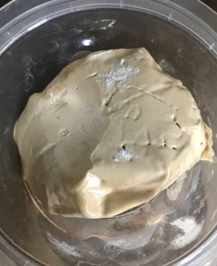 Hardened Non-Diastatic Malt Powder
