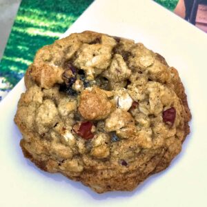 gluten-free oatmeal raisin cookies
