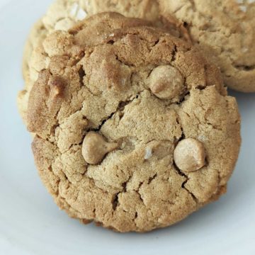 Gluten-Free Peanut Butter Powder Cookies