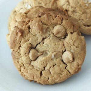 Gluten-Free Peanut Butter Powder Cookies