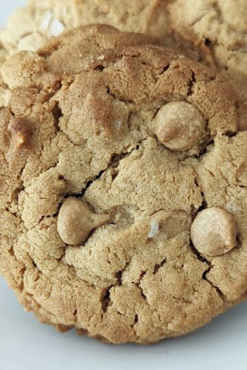 Gluten-Free Peanut Butter Powder Cookies
