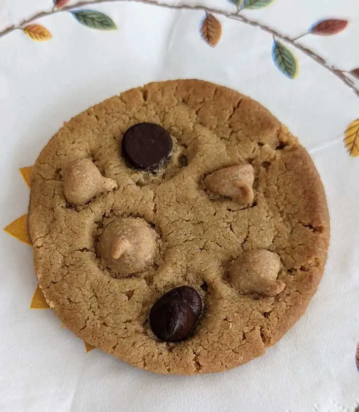 Gluten-Free Vegan Slice and Bake Peanut Butter Cookie