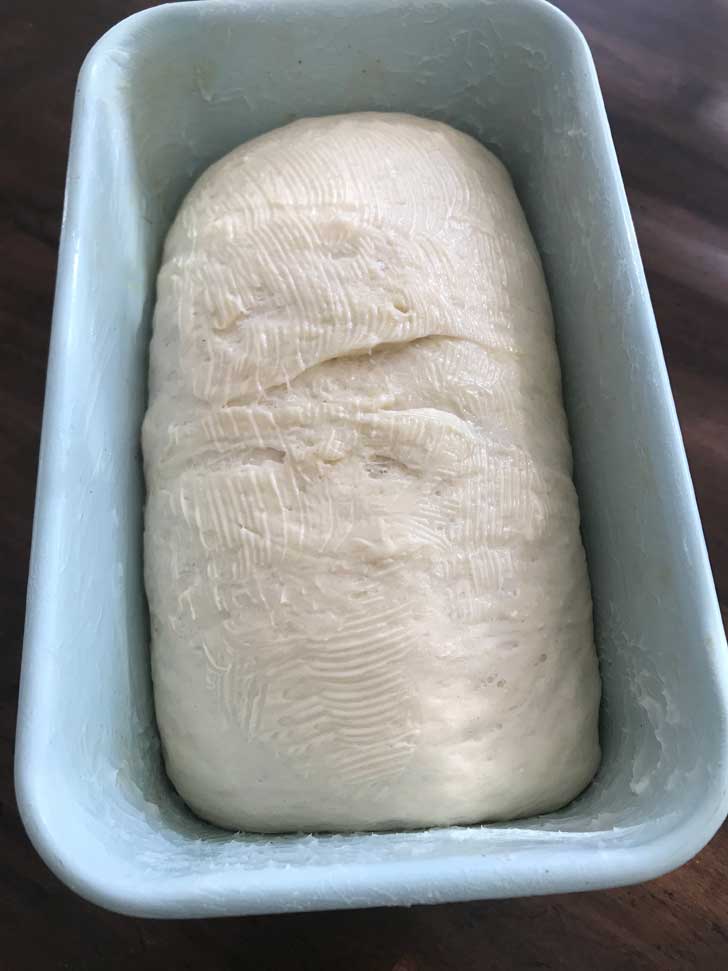 Basic white bread dough in a tall sided loaf pan.