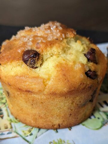 Whole Cottage Cheese Muffin