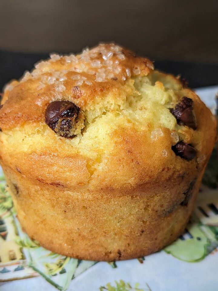 Cottage Cheese Chocolate Muffins Cookie Madness cottage-cheese-chocolate-muffins-cookie-madness