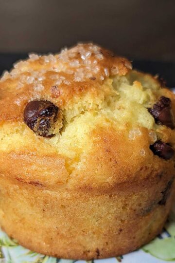 Whole Cottage Cheese Muffin from a small batch recipe.