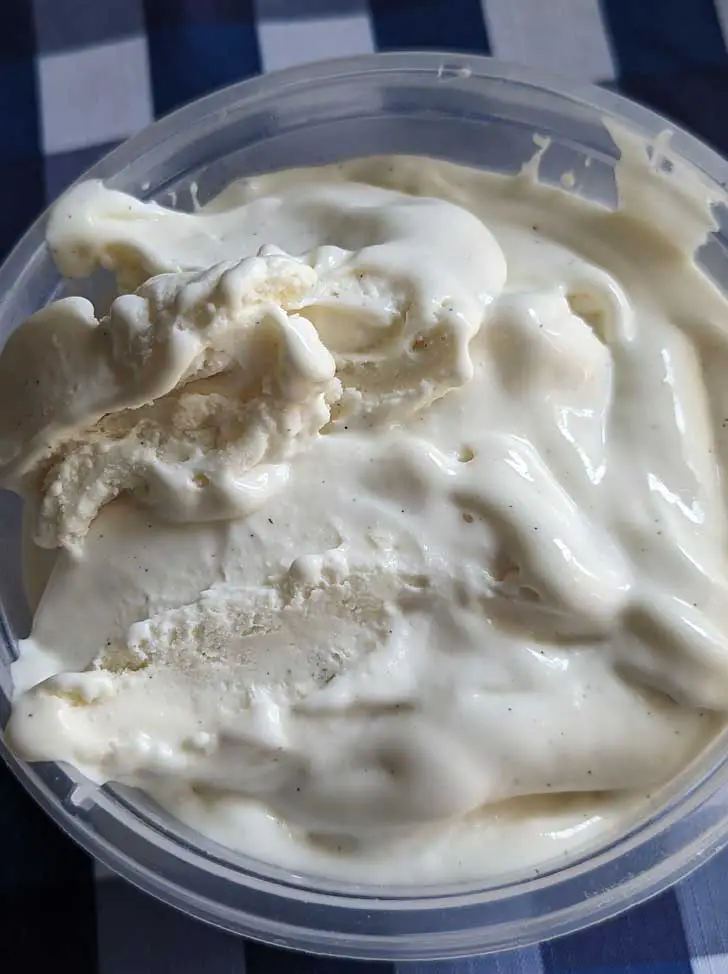 Homemade Blender Vanilla Ice Cream