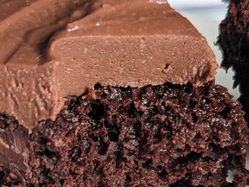 Almost Fat Free Chocolate Cake