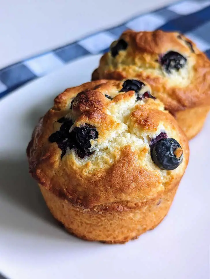 Small Batch Blueberry Muffins