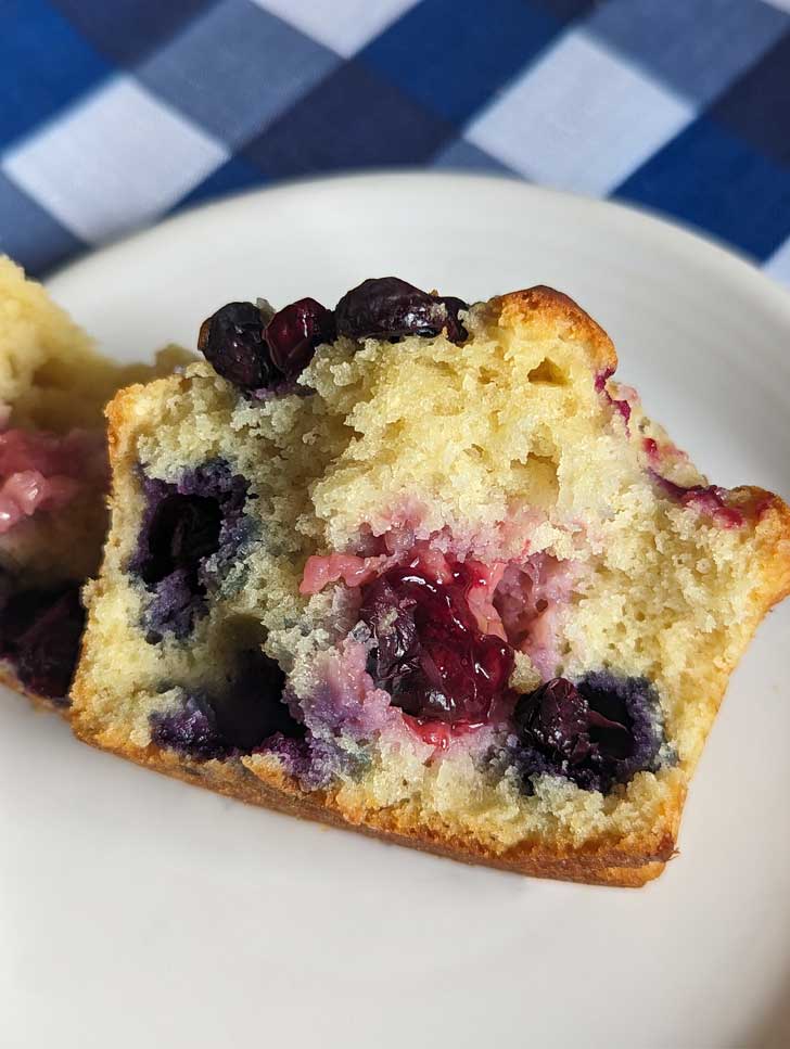 Small Batch Blueberry Muffins