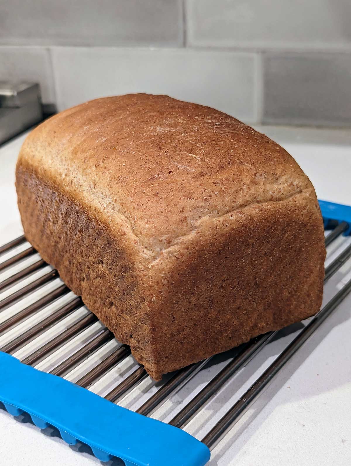 Buttermilk Wheat Bread with baking powder in it.