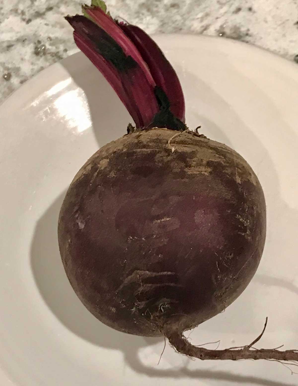 Fresh Beet