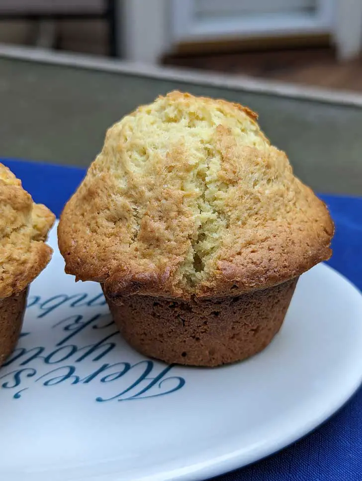 lemon muffins with pudding mix cook and serve 