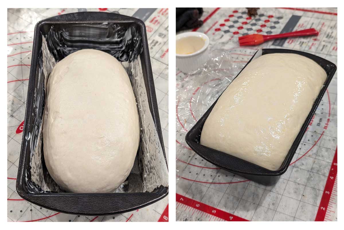 Buttermilk White Bread Dough