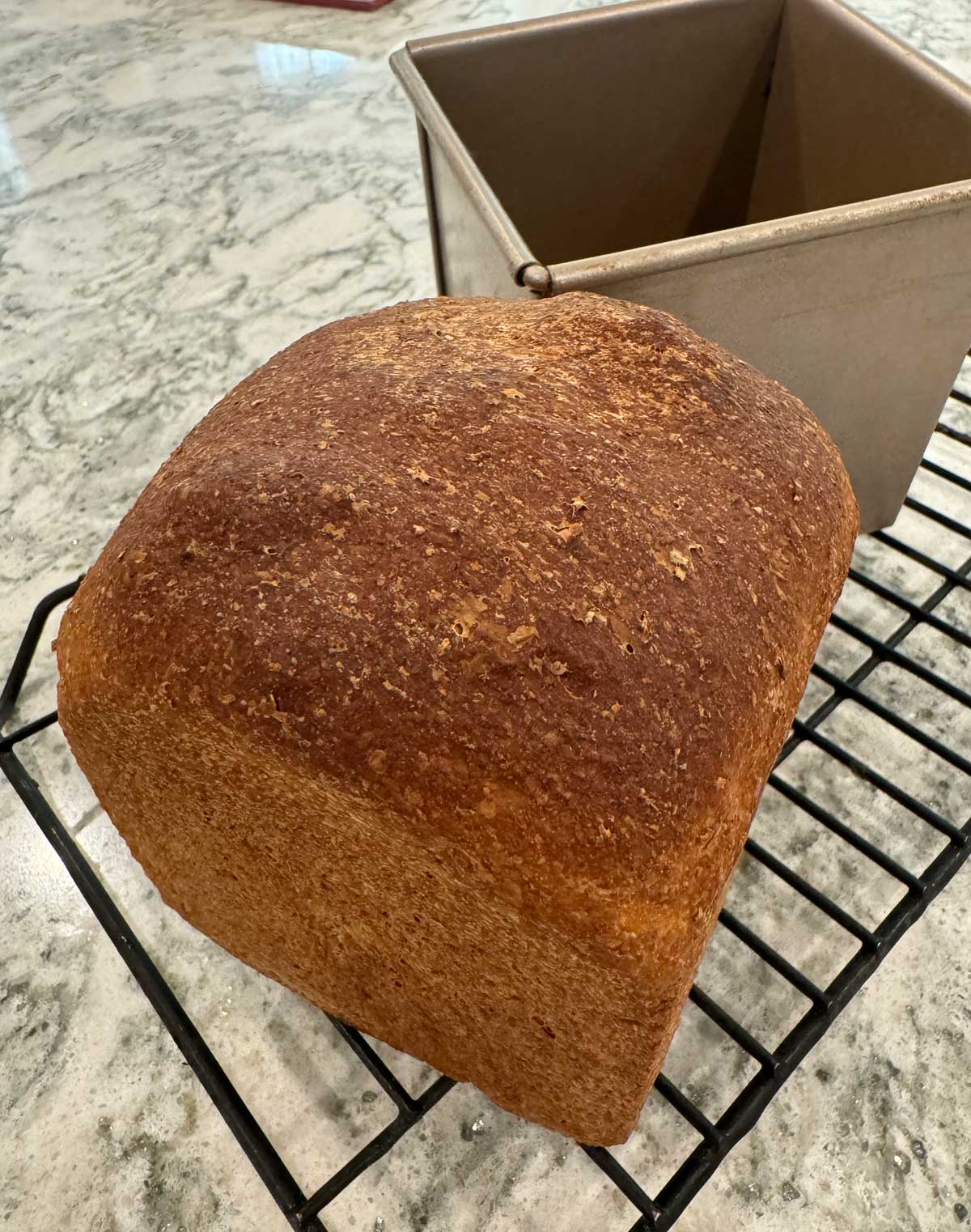 Basic Whole Wheat Bread from a MIni Pullman