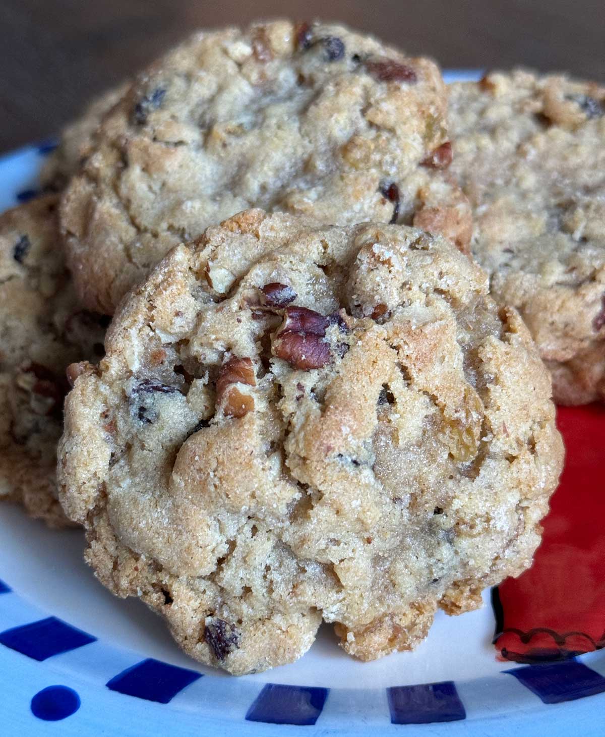 soaked raisin oatmeal cookies