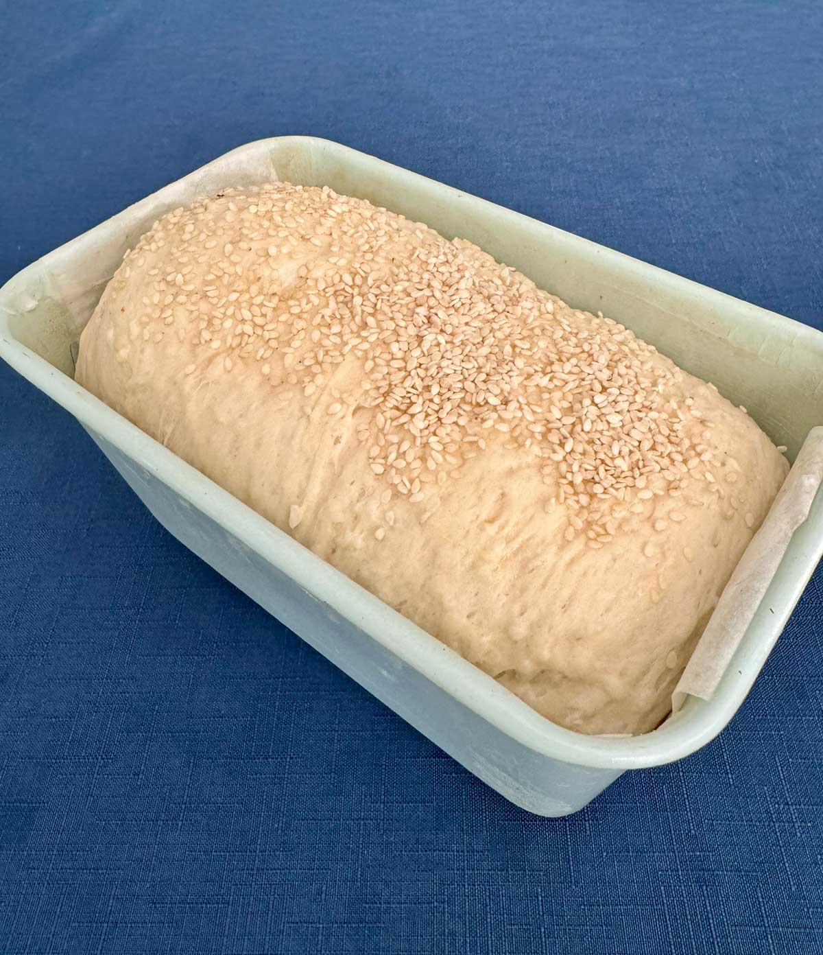basmati rice bread dough in a deep loaf pan
