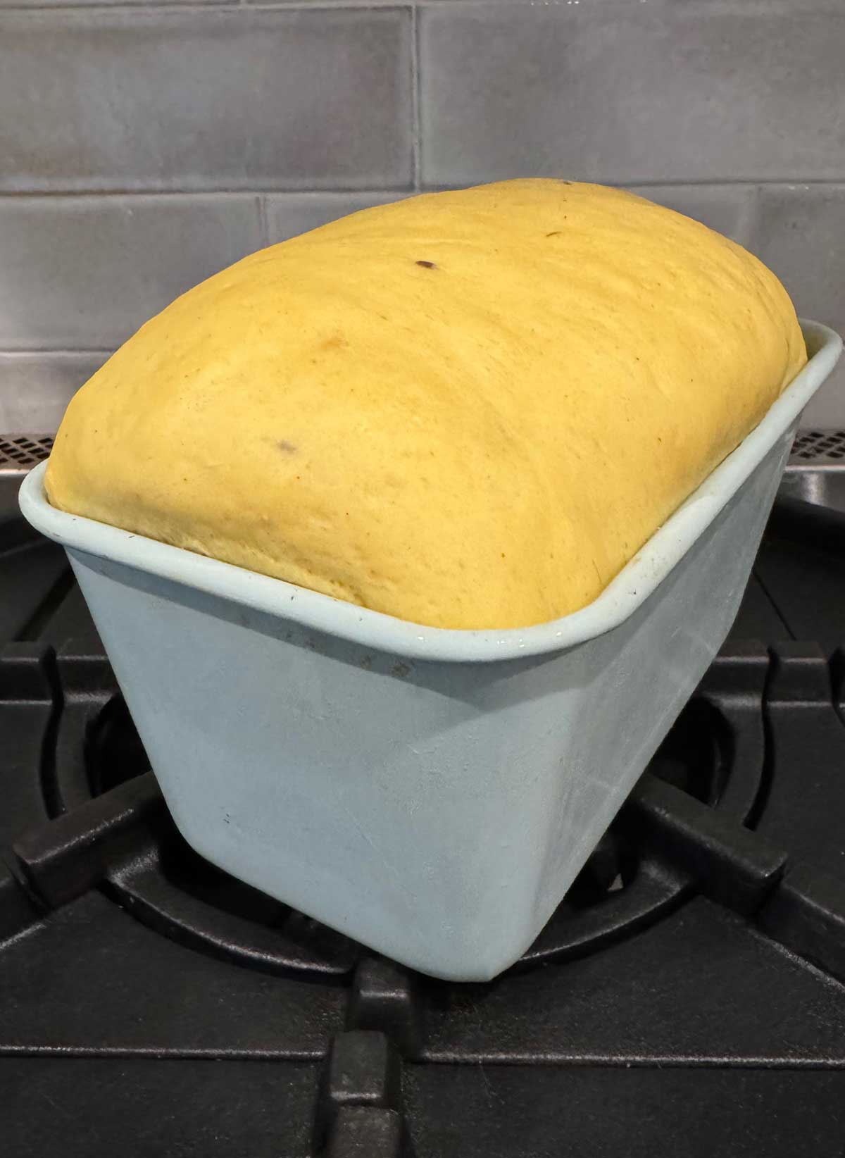 Risen dough for dal bread
