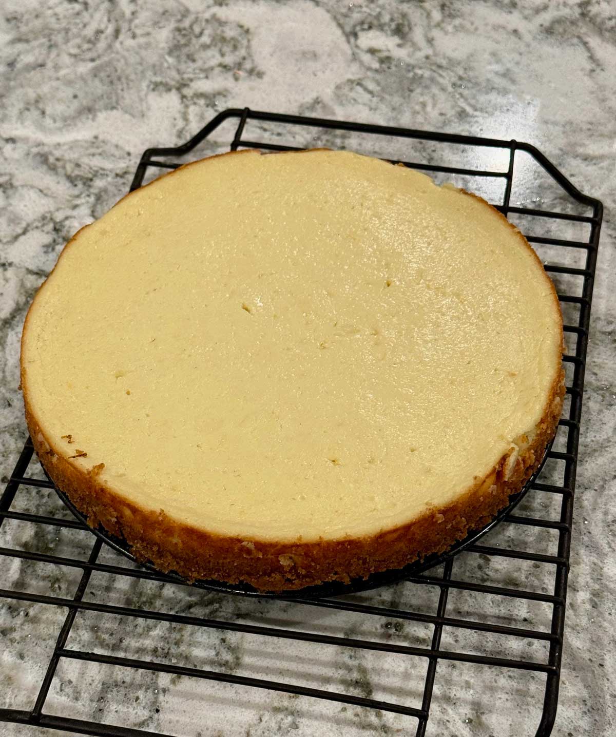 Vintage Cottage Cheese Cheesecake