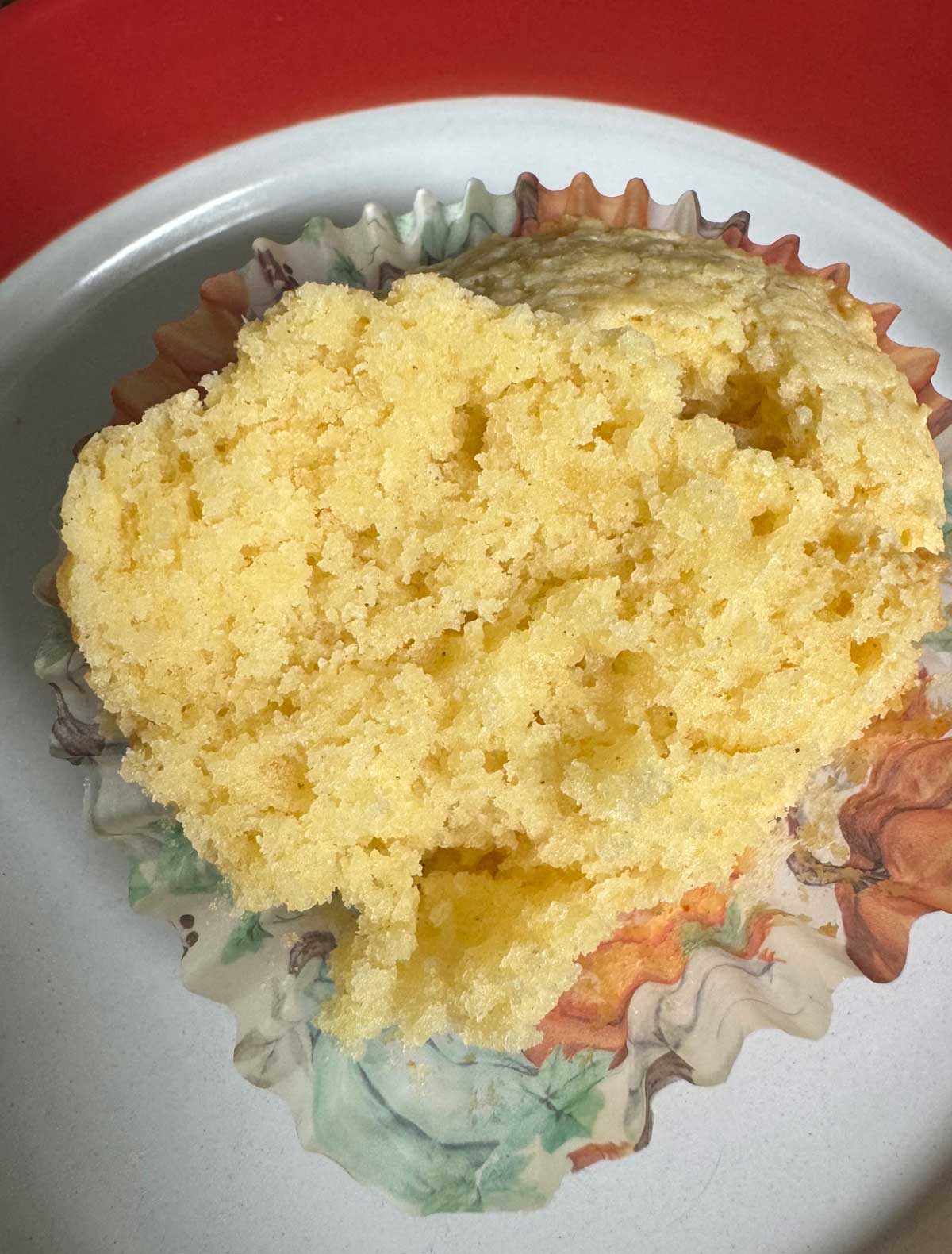 Texture of a gluten-free easy vanilla cupcake