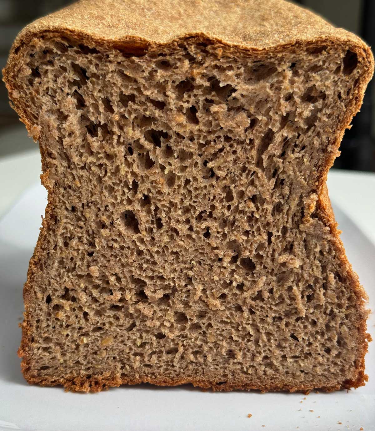 Gluten-Free-Whole Grain Bread