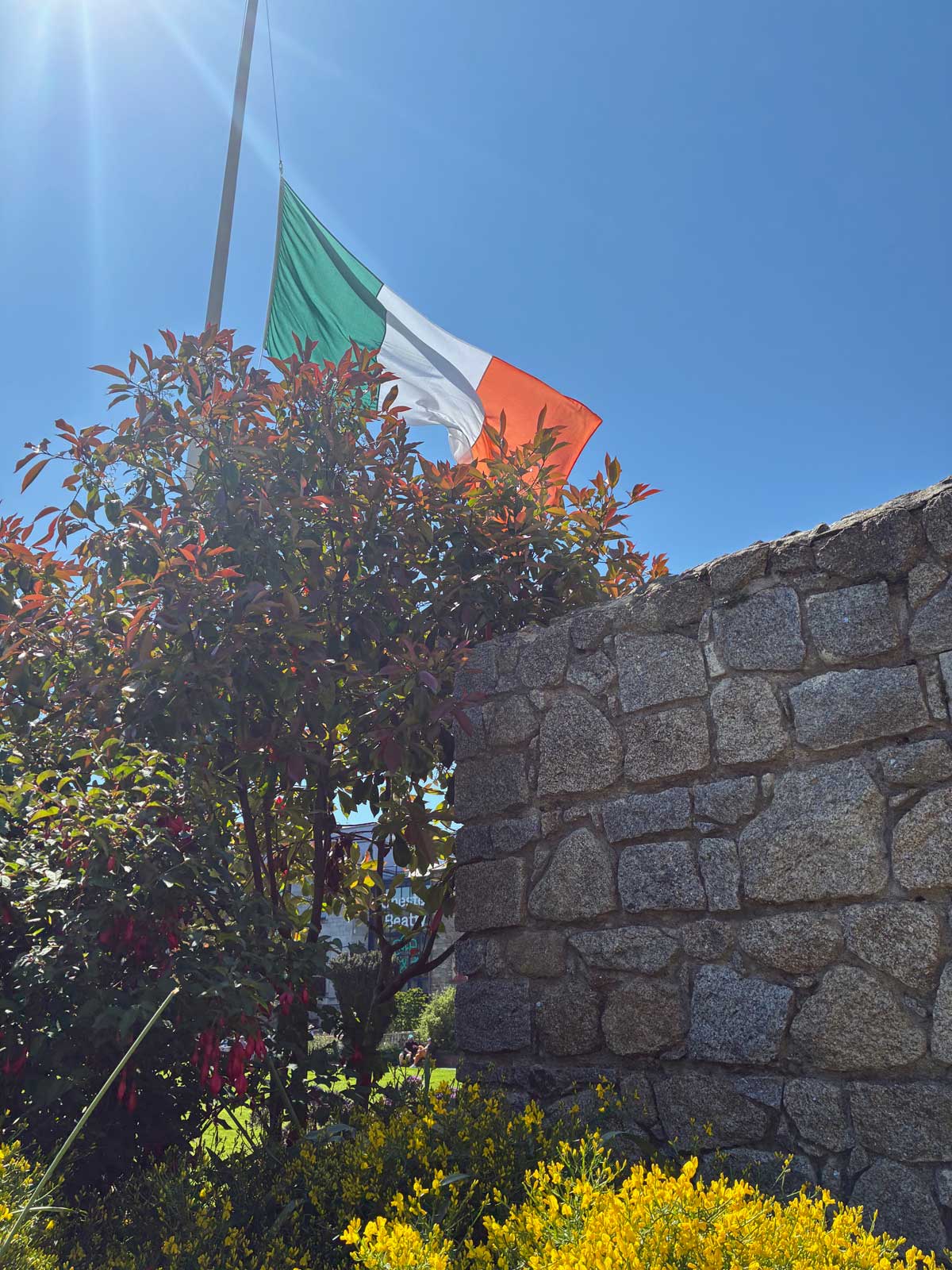 Irish flag in Dublin