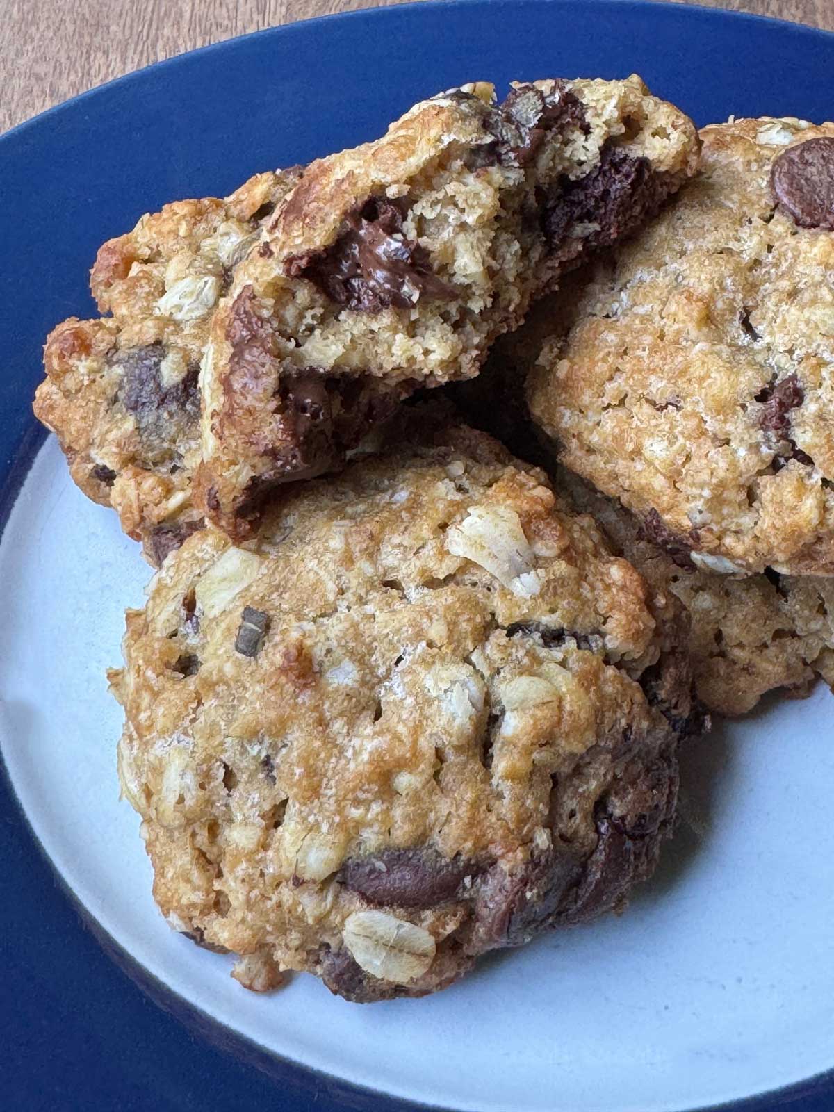 Sugar Free Chocolate Chip Cookies with Fiber Gourmet
