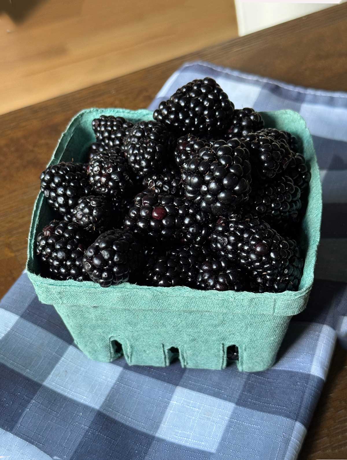 A bucket of blackberries from a North Carolina farm.