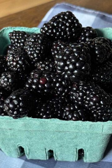 Fresh blackberries for quick blackberry cobbler recipe.
