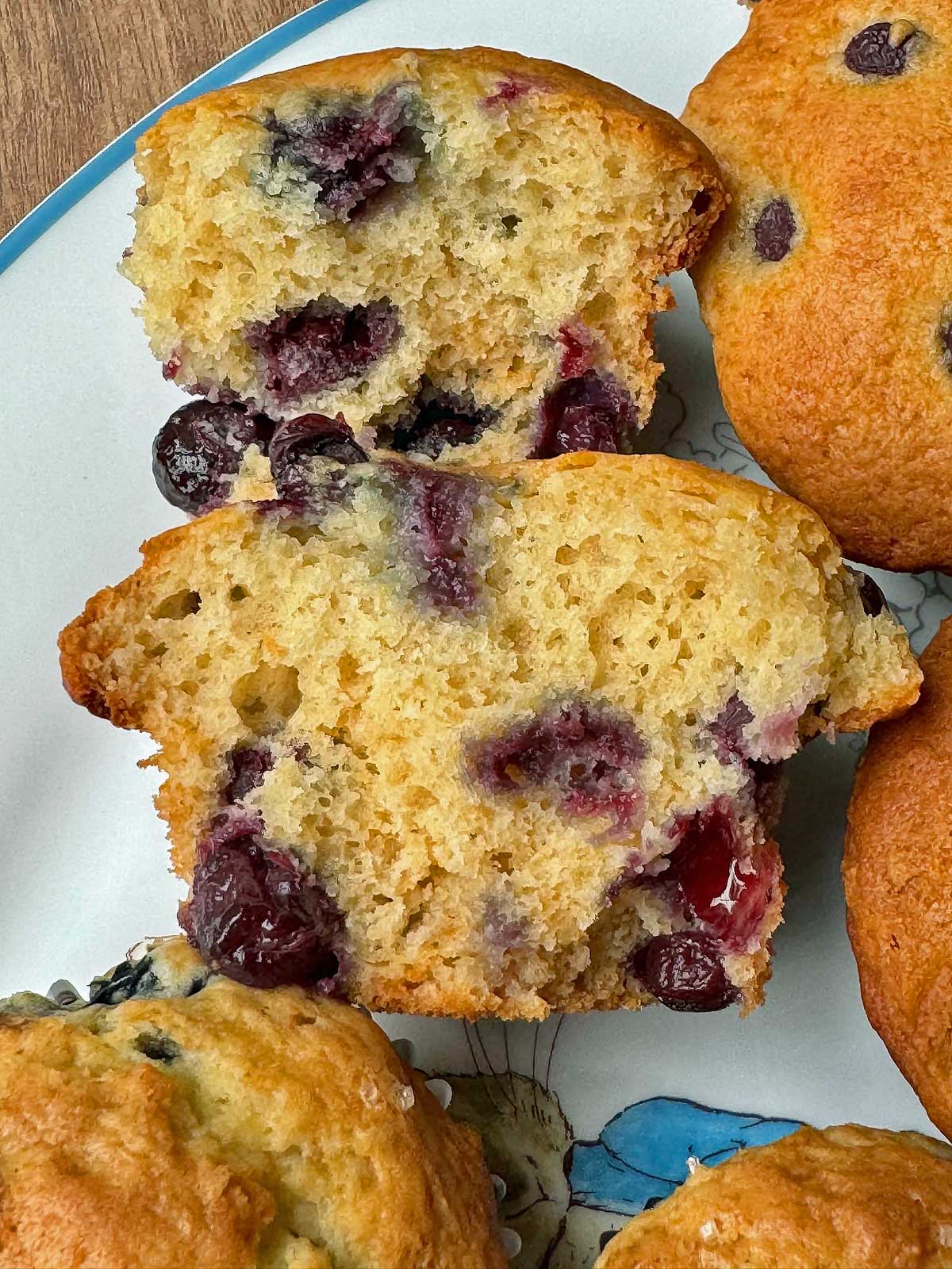Greek Yogurt Blueberry Muffins with allulose texture.