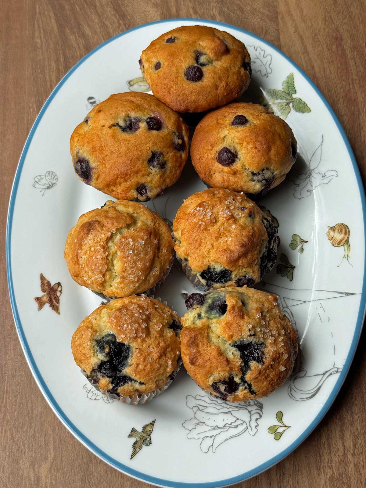 Blueberry Muffins
