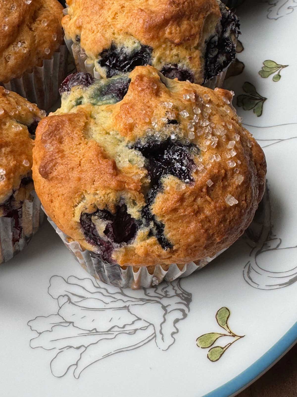 Greek Yogurt Blueberry Muffins recipe