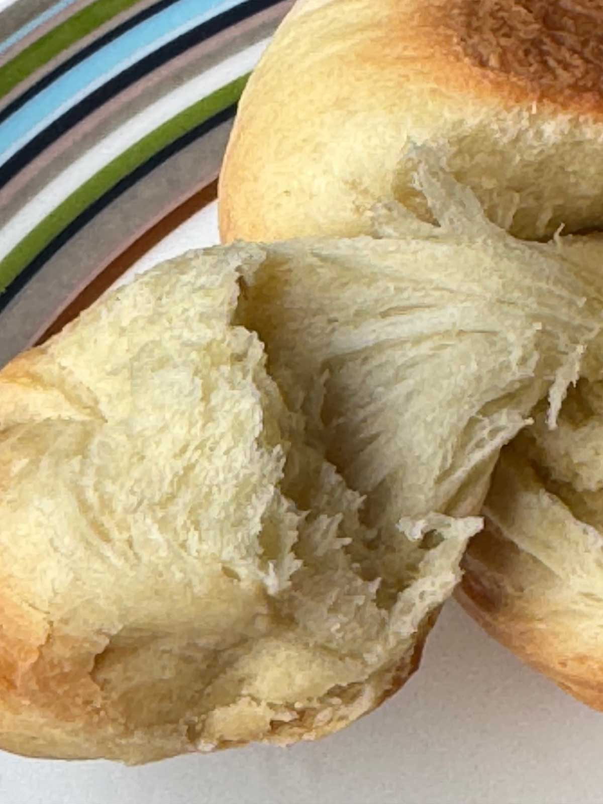 Stretchy Egg Knot Roll Texture