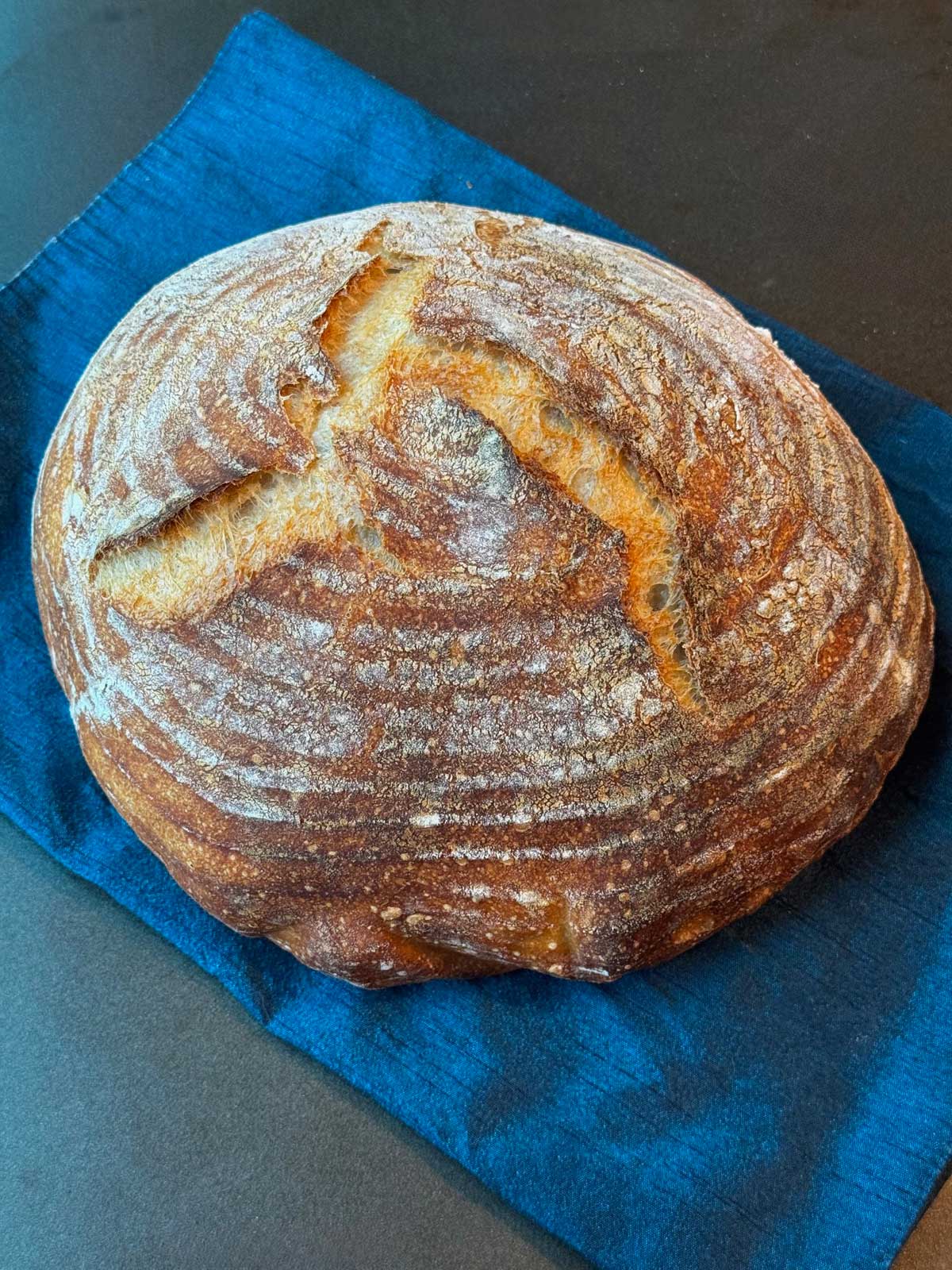 Large loaf of basic sourdough bread made with 60 grams of bubbly active sourdough starter.