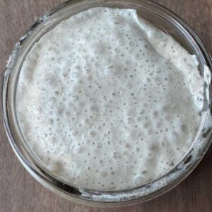 Bubbly Sourdough Starter Mini Batch