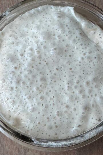 Bubbly Sourdough Starter Mini Batch