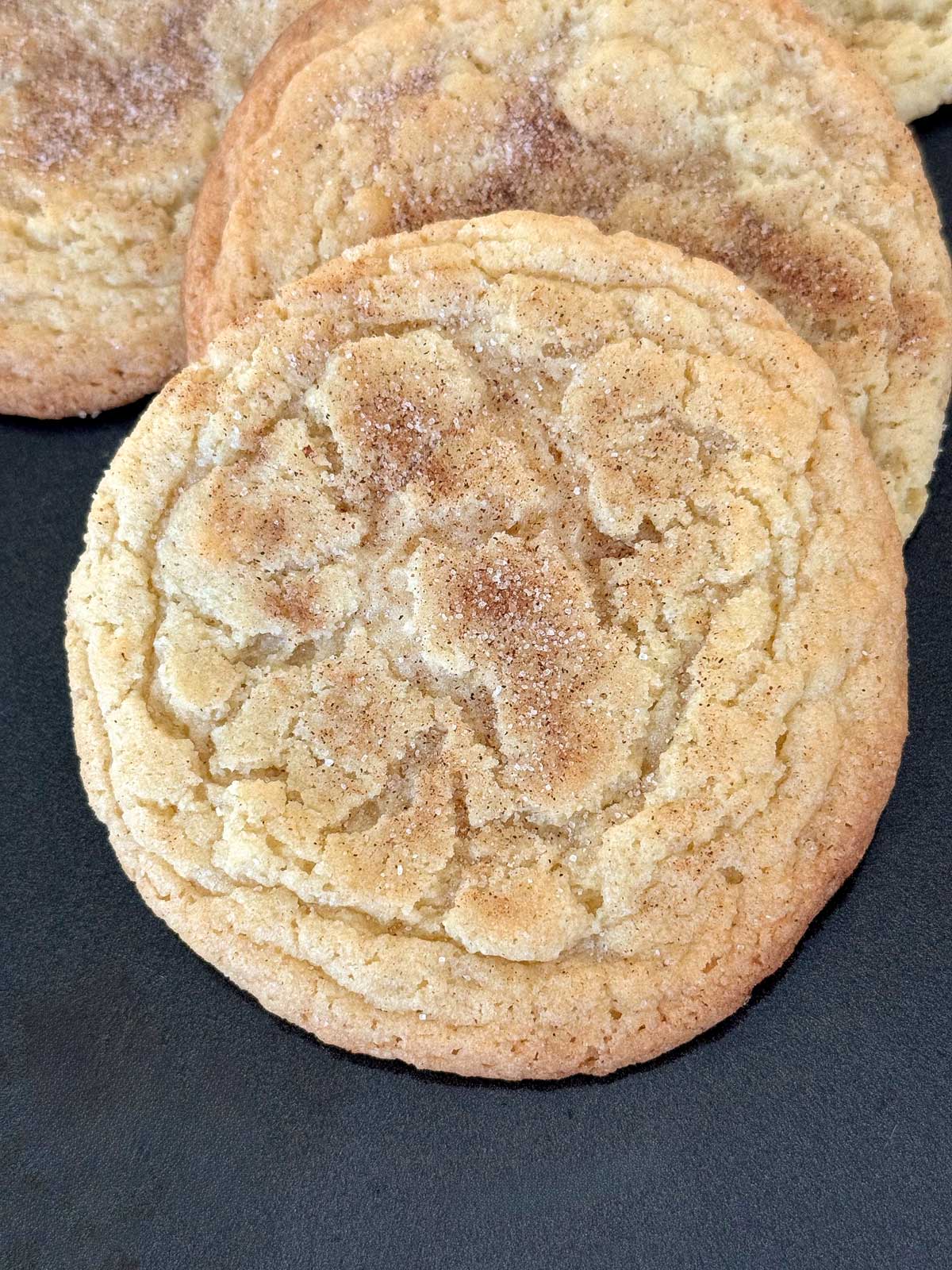 Buttery Snickerdoodles recipe with European style butter or Red Feather