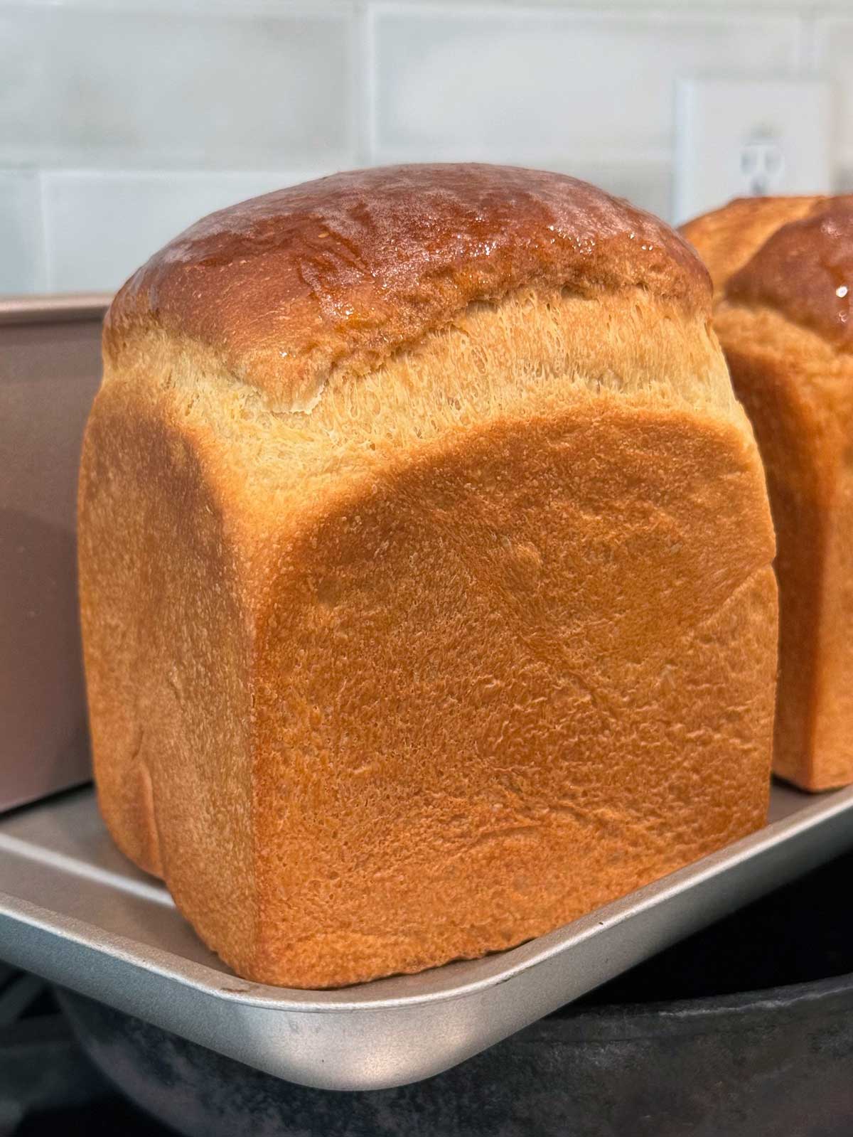 Small sandwich loaf of sourdough discard bread turned out of a cube shaped loaf pan.